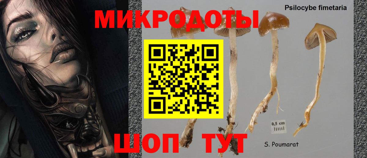 Аксай  Галлюциногенные грибы Magic Shrooms  Галлюциногенные грибы Psilocybine cubensis  Вход с VPN 