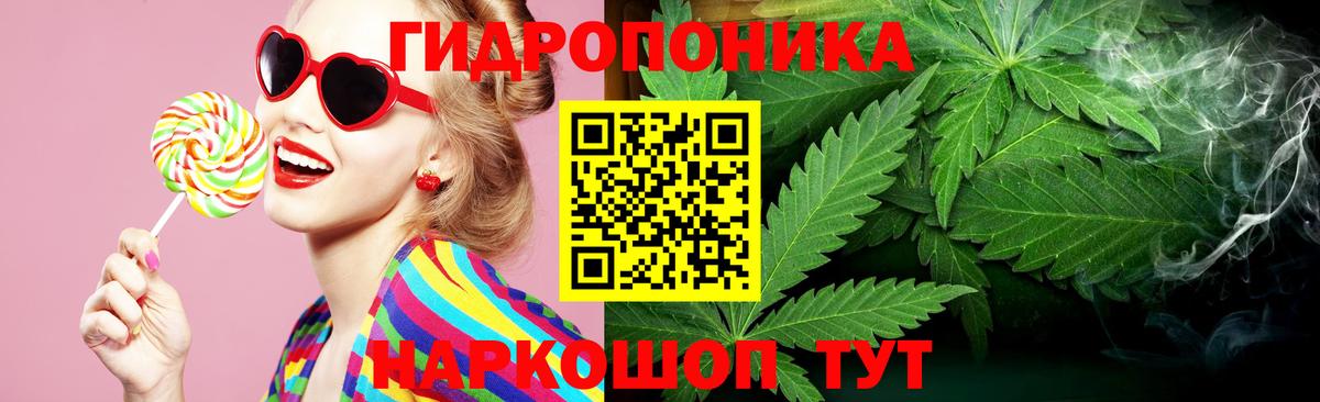 Бошки Шишки семена Аксай